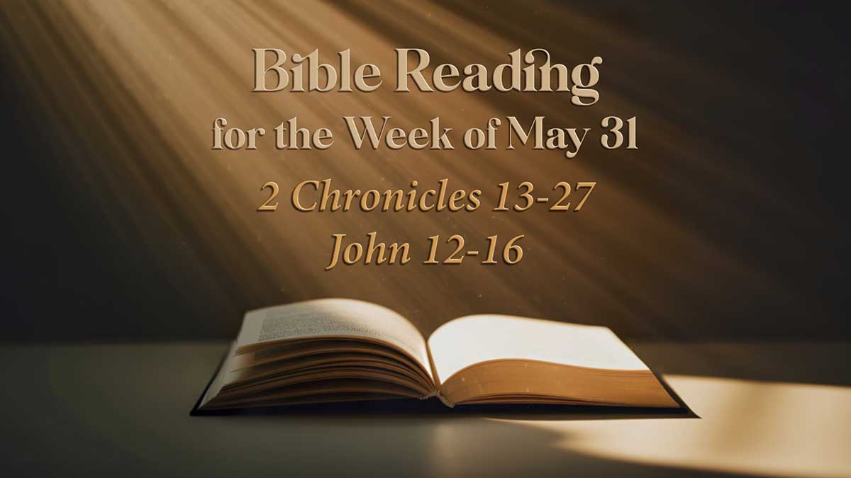 May 31 Weekly Bible Reading